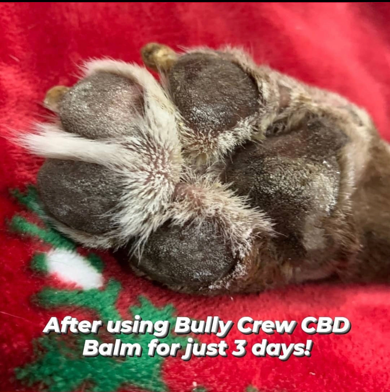 moisturizer for dogs paws