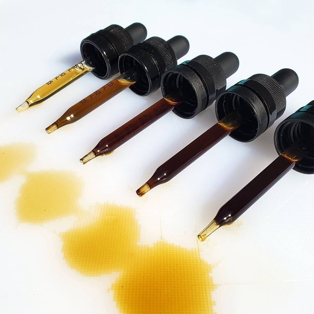 CBD Oil For Dogs & Humans - 500mg