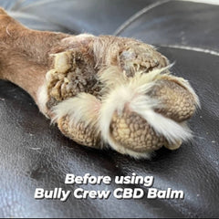 dog moisturizer for paws