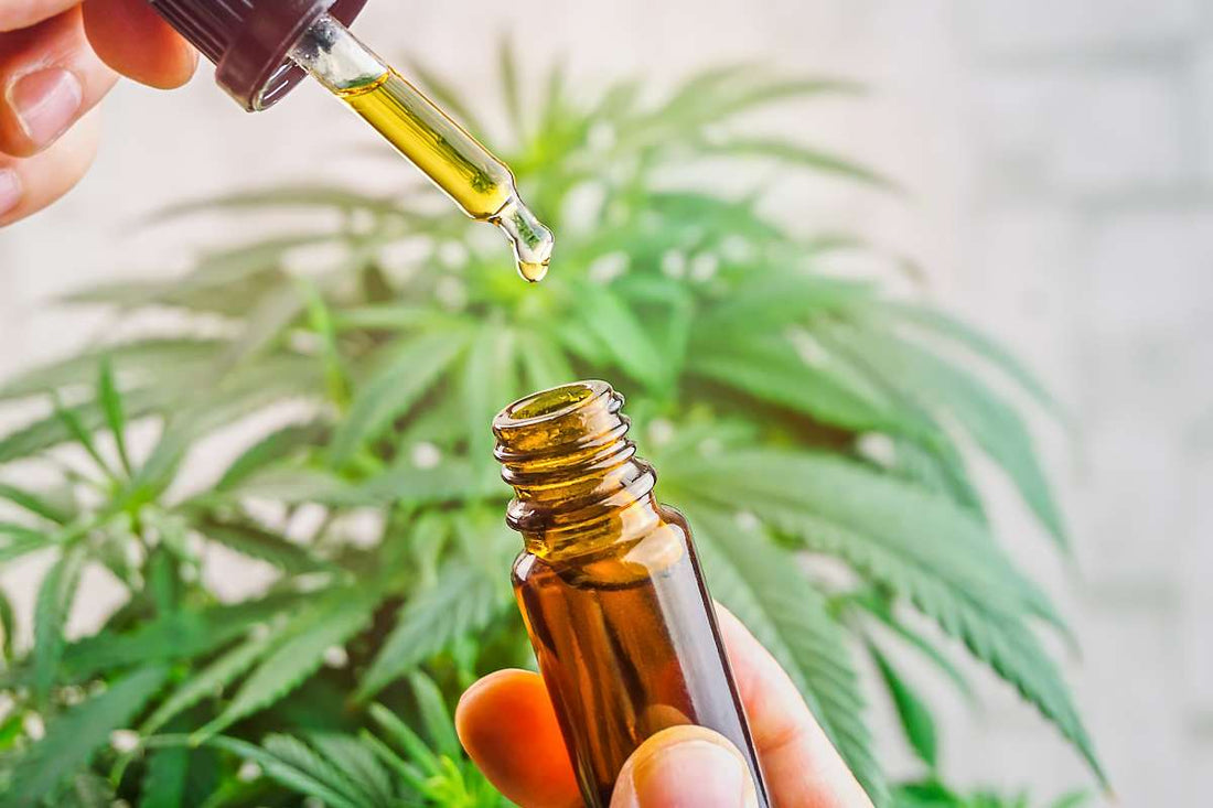 Mushroom Tinctures vs. CBD Oil: Key Differences, Benefits, and How to Choose