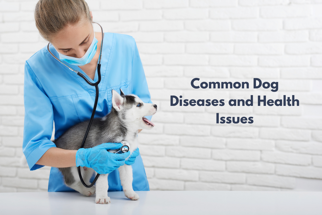 Common Dog Diseases and Health Issues