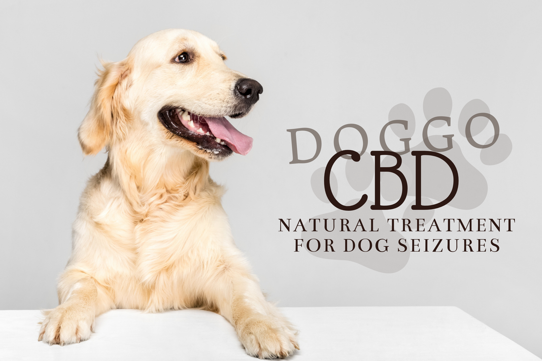 Natural Remedies For Canine Seizures CBD For Dog Seizures Bully Crew CBD