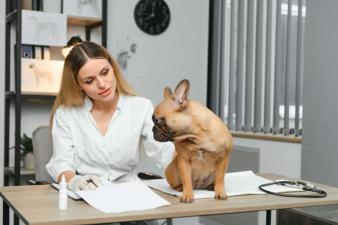 How to Read a CBD Certificate of Analysis (COA): A Simple, No-Nonsense Guide