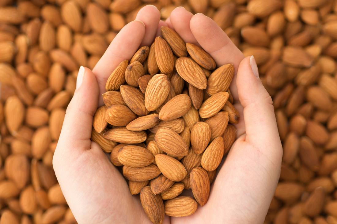 Can Dogs Have Almond Flour? What Pet Owners Should Know
