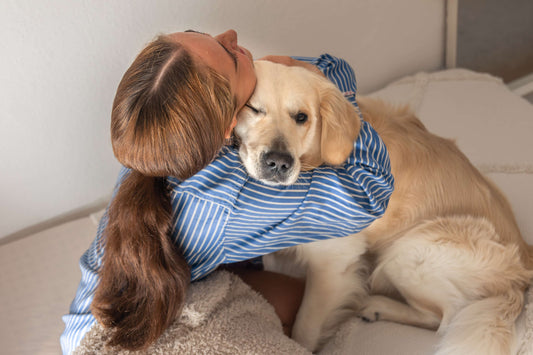How To Comfort A Dog With Pancreatitis: 5 Easy Tips