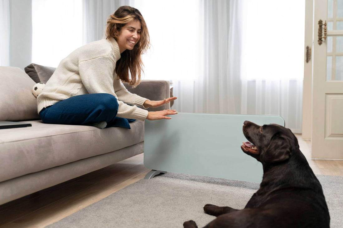 Why Your Dog Loses It at the Doorbell (And How to Reset the Trigger)