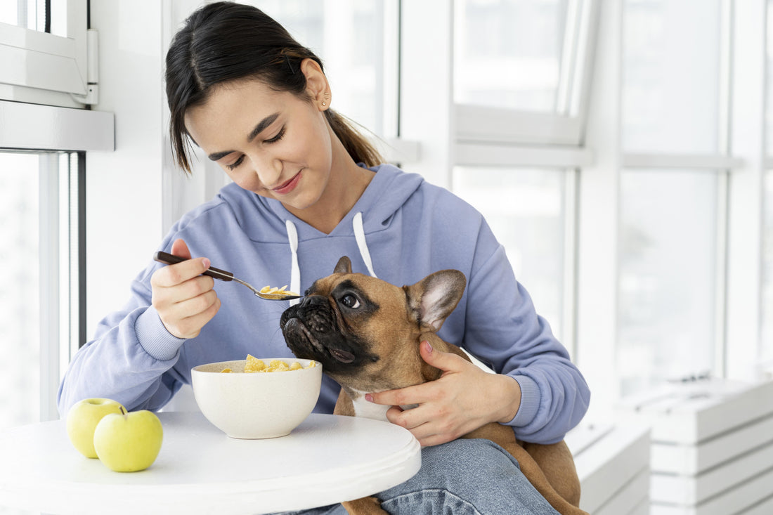Why Won’t My Dog Eat His Food? Common Causes and Solutions