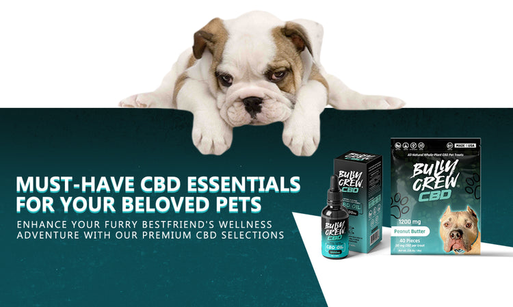 CBD for dogs, pets and human